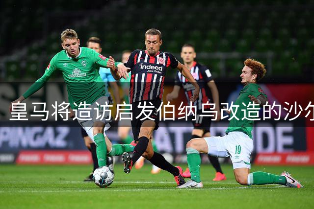 皇马将造访启发伯纳乌改造的沙尔克球场